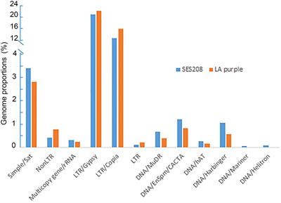 Characterization of Repetitive DNA in Saccharum officinarum and Saccharum spontaneum by Genome Sequencing and Cytological Assays